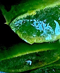 Я слишком люблю тебя - антибактериальный крем от акне