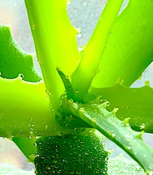 Я слишком люблю тебя - антибактериальный крем от акне